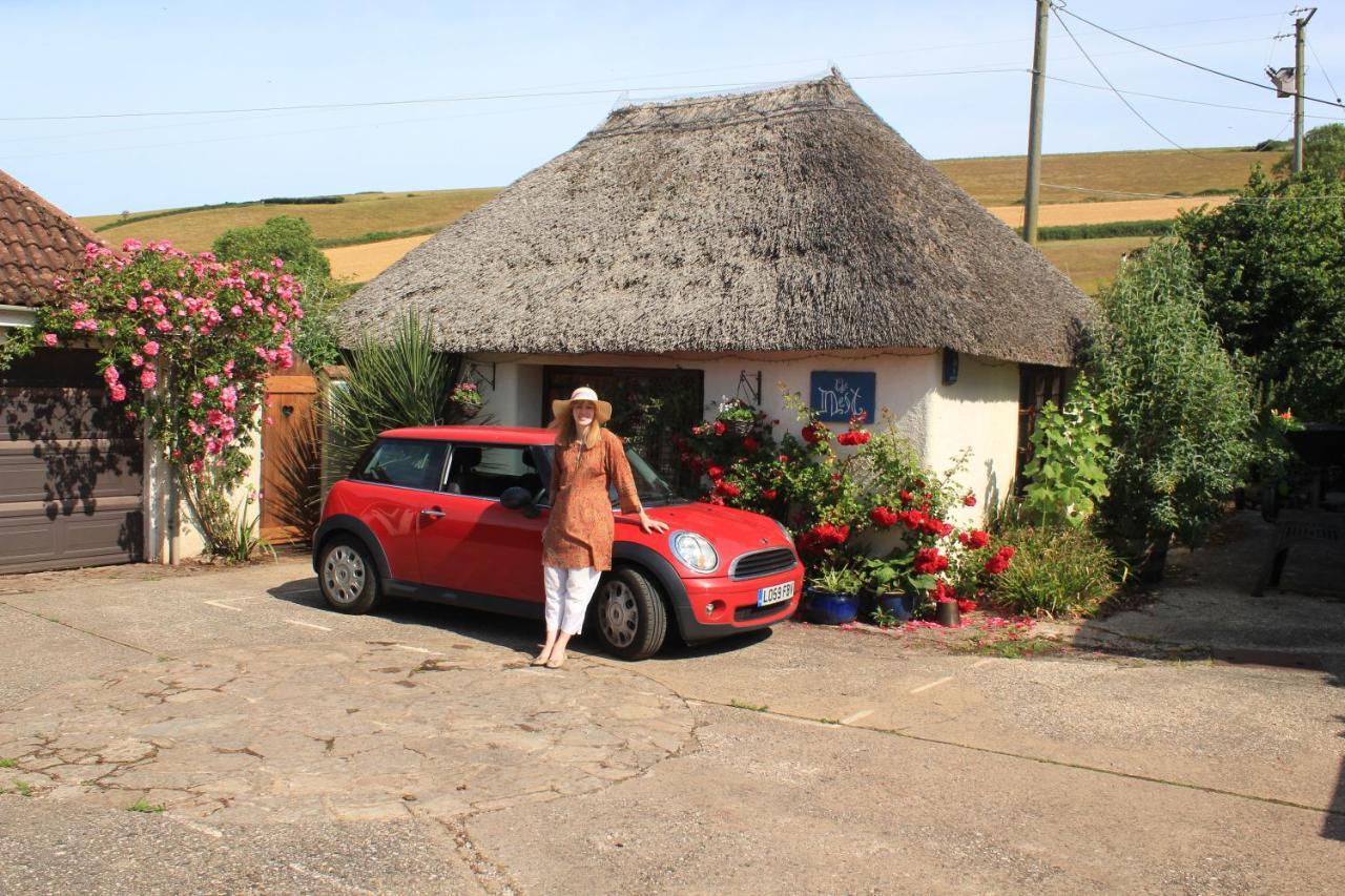 The Nest - Thatched Seaside Country Cottage For Two Stokeinteignhead Exterior photo