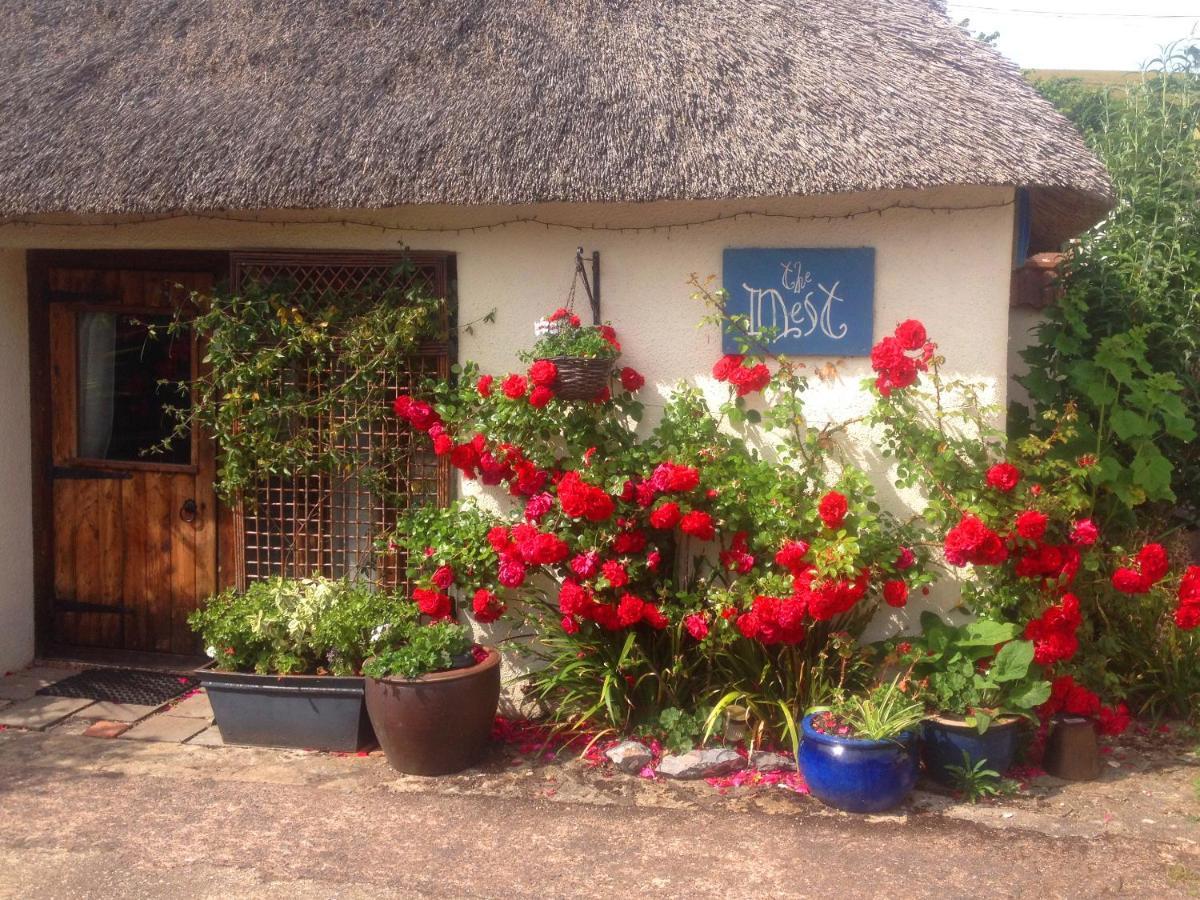 The Nest - Thatched Seaside Country Cottage For Two Stokeinteignhead Exterior photo