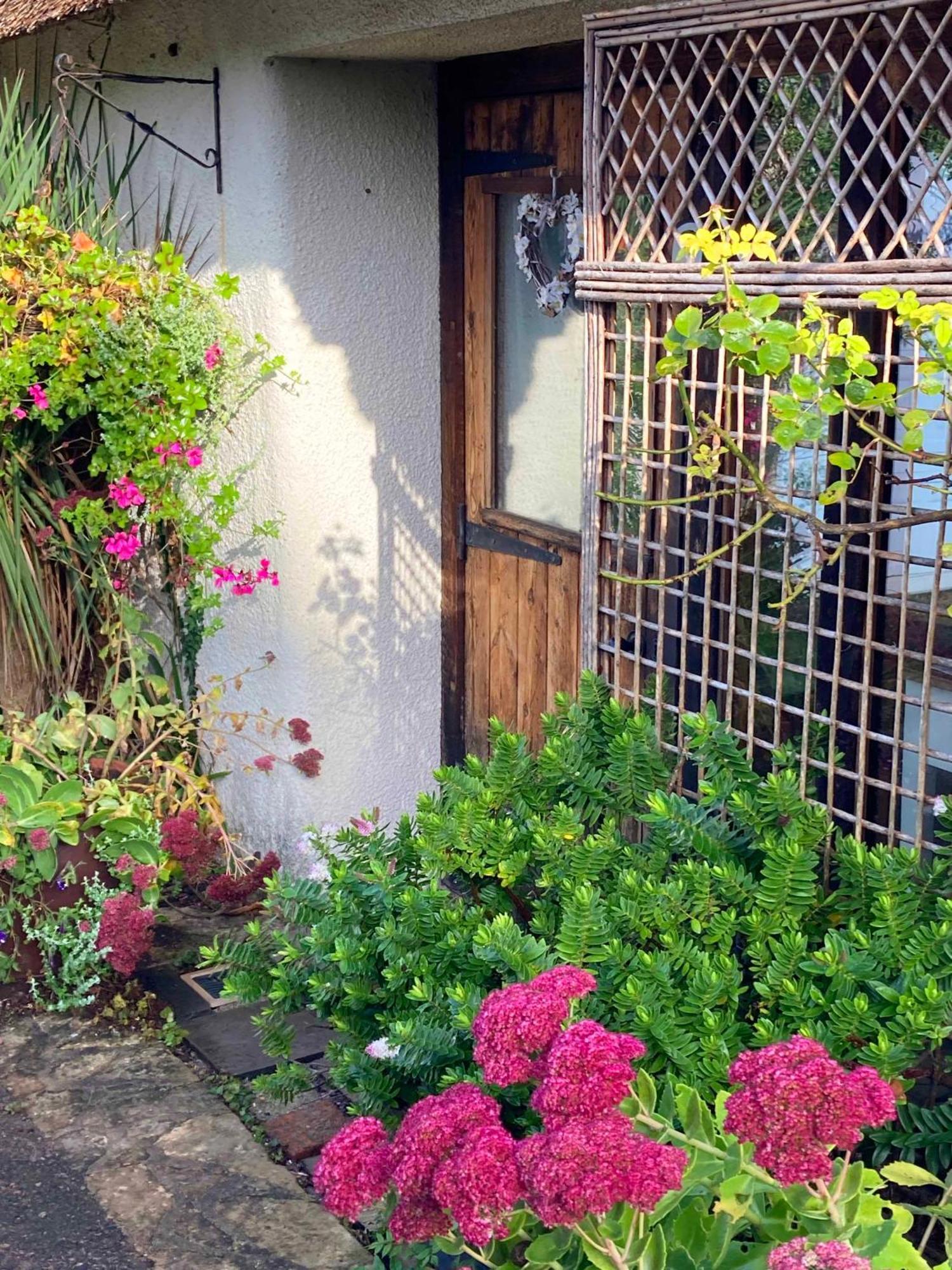 The Nest - Thatched Seaside Country Cottage For Two Stokeinteignhead Exterior photo