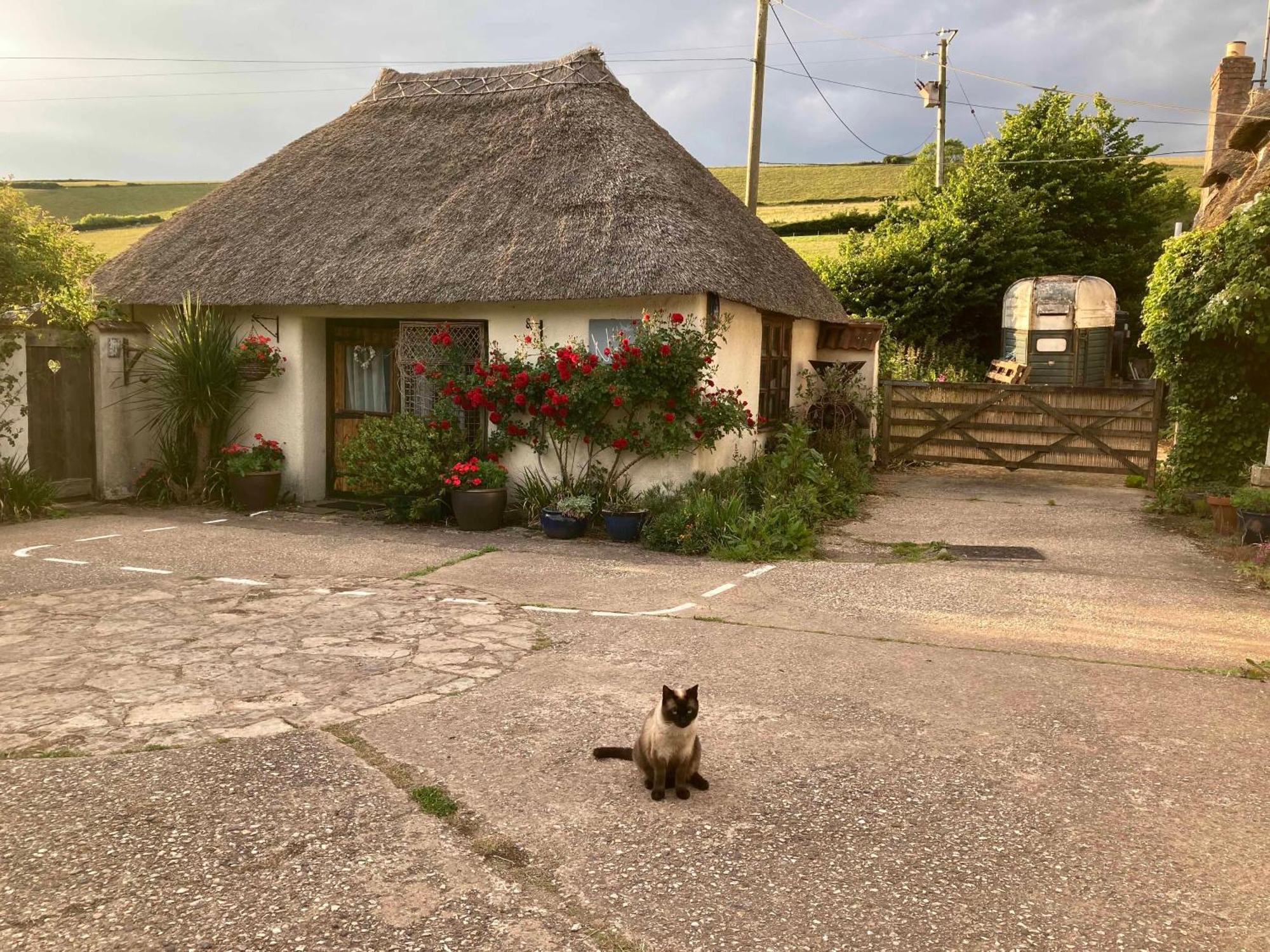 The Nest - Thatched Seaside Country Cottage For Two Stokeinteignhead Exterior photo