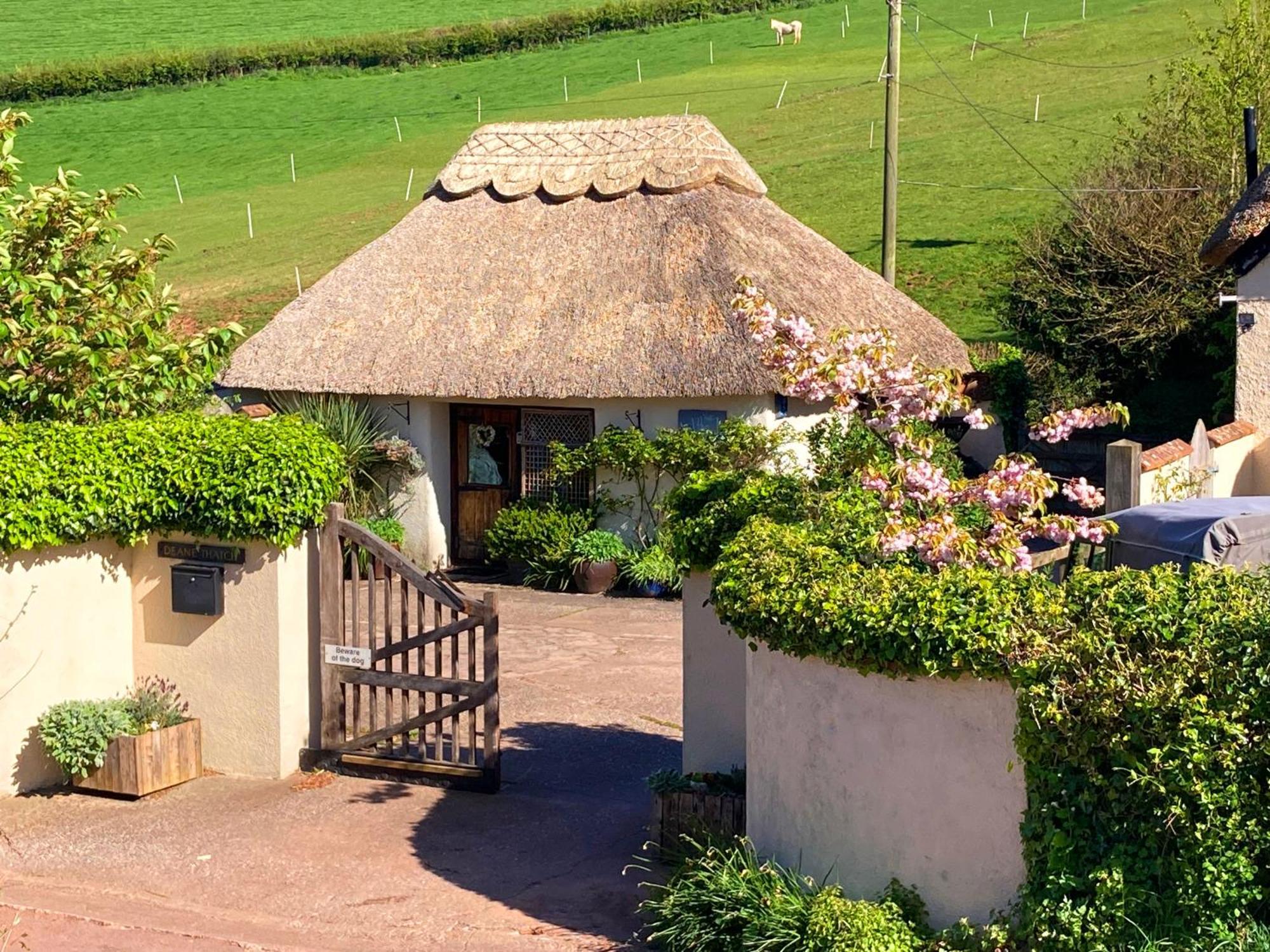 The Nest - Thatched Seaside Country Cottage For Two Stokeinteignhead Exterior photo